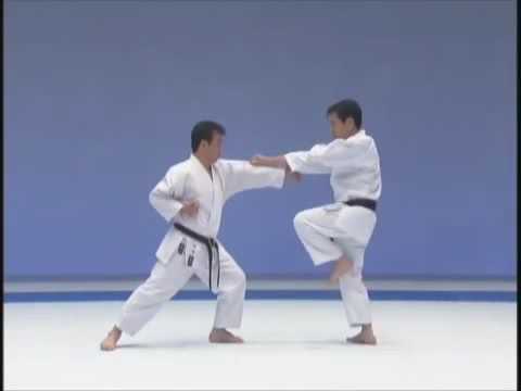 Niseshi - kata with bunkai | WORLD WADO