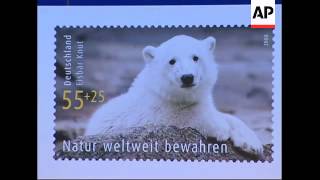 Polar bear Knut is featured on a postage stamp