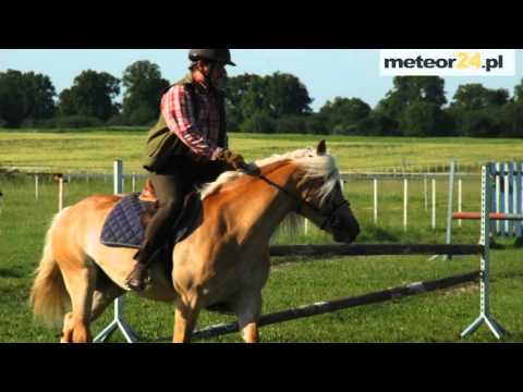 Agroturystyka Siedlisko Cyganka - Cyganka meteor24.pl