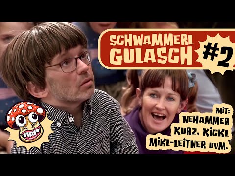 Schwammerlgulasch #2 | Mit Kickl, Kurz, Edtstadler, Stocker, Babler uvm. (Deepfake-Satire)