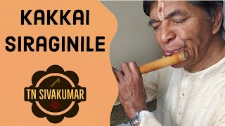 Kakkai Siraginile -(Flute) TN Sivakumar  Ragam Kaa