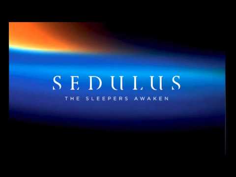 Sedulus - 'Sycamore'