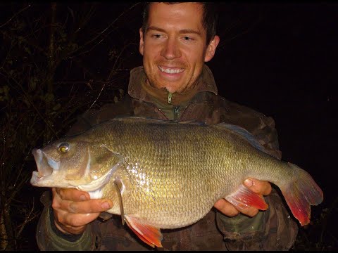 Perch UK record. Interview with holder Neill Stephen, sharing fishing tips and tales (SHORT VERSION)