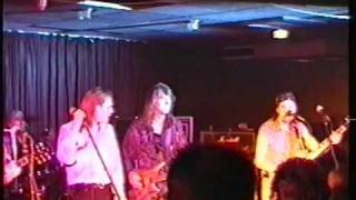 The Snakes - Walking In The Shadow Of The Blues (Live In Norway 1998)