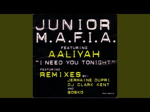 I Need You Tonight (Jermaine Dupris So So Def Remix)