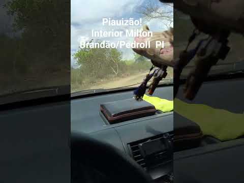 interior do Piauí!Milton Brandão/ Pedro II #automobile #driver