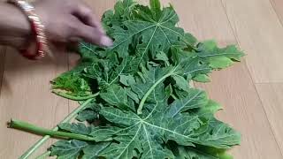 डेंगू हो गया है प्लैटलेट्स गिर गई है/1Din Mein 1.5 lakh Tak platelets Badhai/platelets Kaise Badhaye