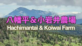 八幡平＆小岩井農場【Hachimantai & Koiwai Farm】