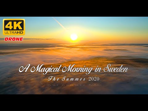 Magical Morning in Örnsköldsvik | Stunning Drone Footage of Fog and Sunshine ☀️🌫️