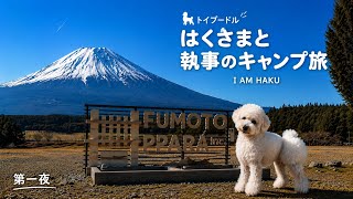     【59歳女子ソロキャンプ】初心者がふもとっぱらで3泊4日｜犬連れキャンプ①  トイプードル　toy poodle camping