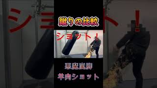 蹴り比較 #おもしろ #オタク #お笑い #コント #ネタ #サンドバック #格闘#厨二病