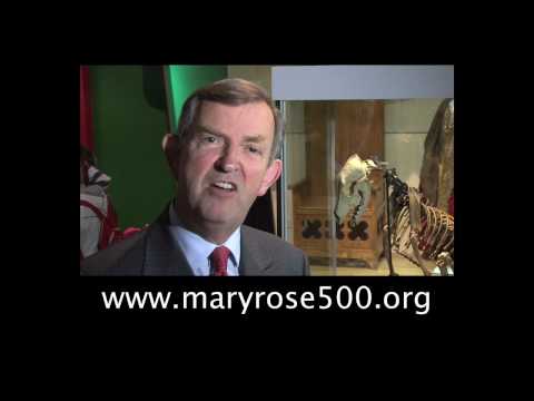 The Mary Rose Ship's Dog