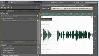 Karen's Story: Fine tuning eLearning project audio with Adobe Soundbooth CS5