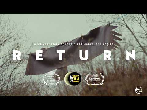 RETURN - the incredible 50-year comeback story of White-tailed Eagles in the UK | RSPB
