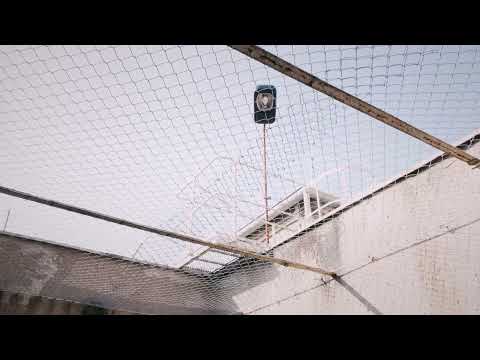 Freigangzellen - "Tigerkäfige"