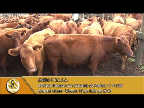 13-07-18 Venta de Vientres - Sivero y Cía. S.A. - General Alvear