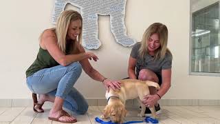 Puppy Raising, Your Way | Southeastern Guide Dogs