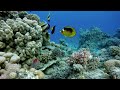 RELAXING MUSIC-SOOTHING MOMENTS, EASE YOUR MIND