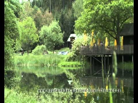 Falkenstein - Haus zur Wildnis