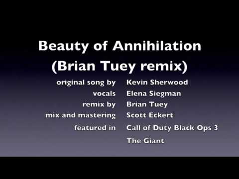 Beauty of Annihilation REMIX COD BO III