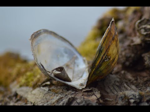 Lauantain paketti katsaus