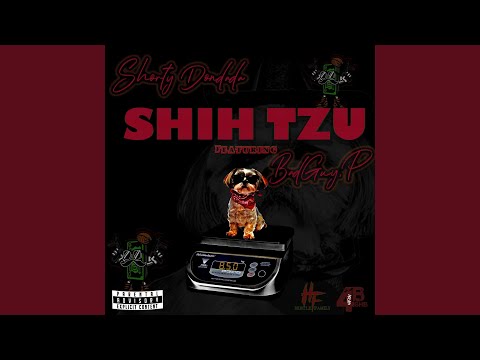 Shih Tzu (feat. BadGuy P)
