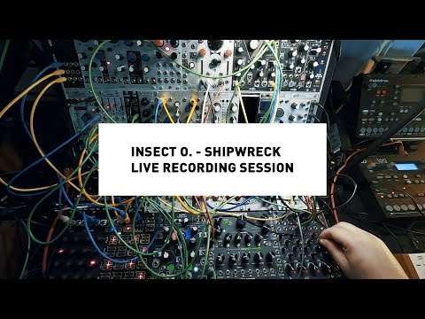 Insect O. - Shipwreck - Live Recording Session