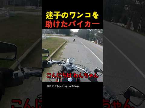 迷子のワンコを助けたバイカー