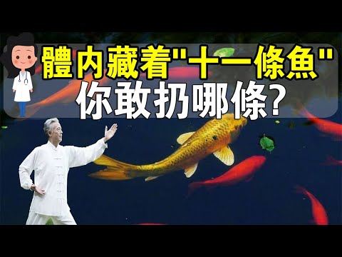 11條魚的故事