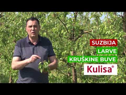 Zastita jabuke od cadjave krastavosti, Galenika Fitofarmacija - U nasem ataru 737