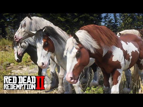 Taming the most BEAUTIFUL HORSES - Gypsy Cobs Shipwrecked - Red Dead Redemption 2