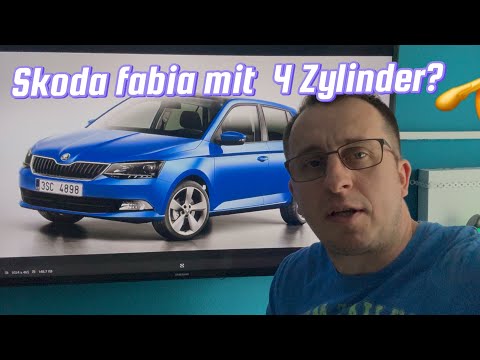 Skoda fabia 1.2 tsi mit 4 Zylinder?Kaufen ?