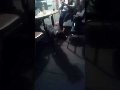 Genaro asustado por los ladridos de un perro 😐