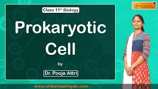 Prokaryotic Cell - #CBSE Class 11 Biology
