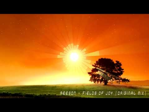 Reeson - Fields of Joy (original mix)
