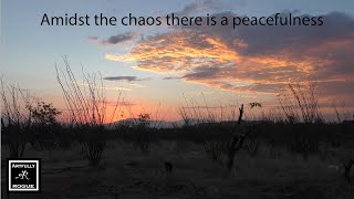 Building New Tucson Workshop, Dealing With County Violations, And Saying Good Bye Phoenix