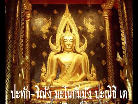 โปรแกรมพันธมิตรหญิงเชื้อโรค หญิงเชื้อโรคคิดเห็นแมลงวันสเปน