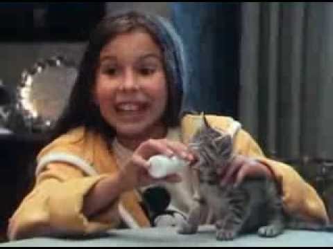 Berliner Weisse mit Schuss 07 Alles fuer die Kaetzchen (NEW)