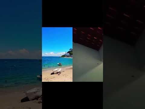 salvador  bahia