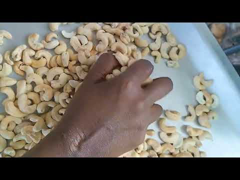 kollam cashew nuts in whole sale price