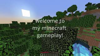 the most normal minecraft video