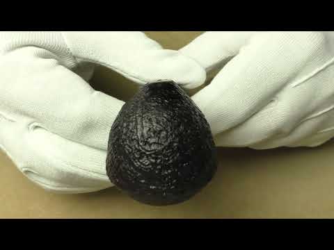 Dunhill Shell Briar 4108 - pipe F176