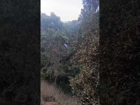 Corrego do Geraldo Pinto e suas belezas naturais em Santa Efigênia de Minas