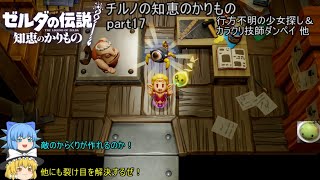 【ゼルダの伝説 知恵のかりもの】 チルノの知恵のかりもの part17 行方不明の少女探し＆カラクリ技師ダンペイ 他【ゆっくり実況】
