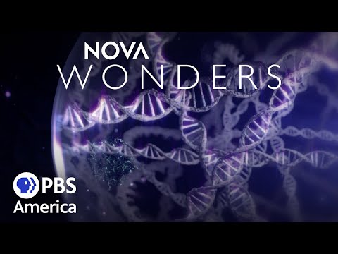 Nova Wonders - Can We Make Life? (2018) | Full Documentary | NOVA