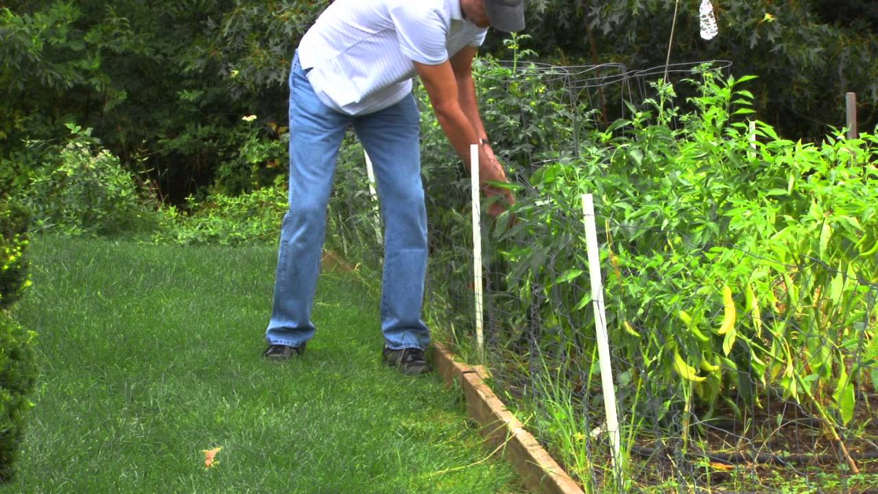 Tips for Proper Pesticide Application