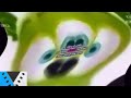 KlaskyKlaskyKlaskyKlasky Gummy Bear In Opposite G Major 100 INSTRUCTIONS IN DESC