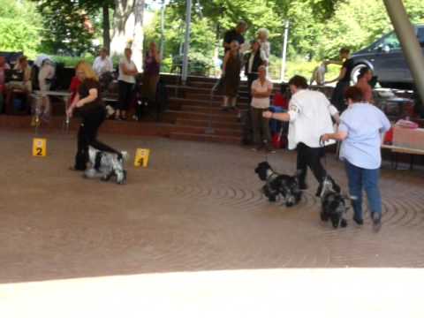 Hoouston in Rheda Wiedenbruck