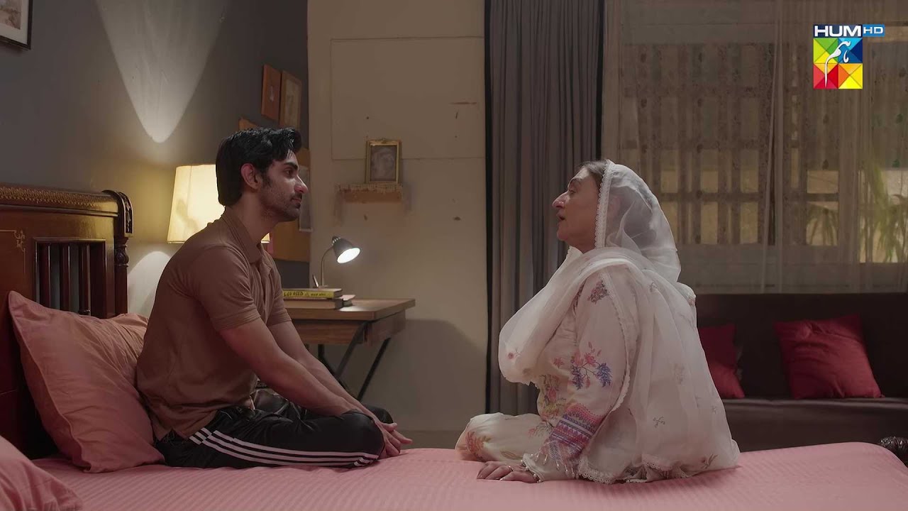 2 Aurtein Kon Hein Jin Se Mulaqat Hui..? #daamemohabbat - HUM TV