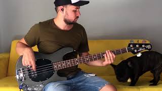 Video thumbnail for MUSIC MAN SUB ERNIE BALL USA review por Thiago Tonini by Thiago Tonini